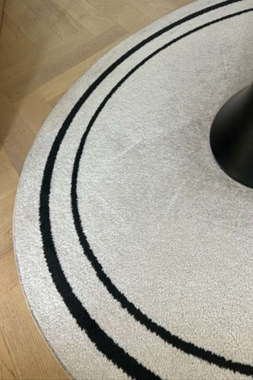 Pure Rug Solutions3